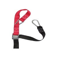 PRO-KIT BIKE TIE DOWN 2PC 350KG