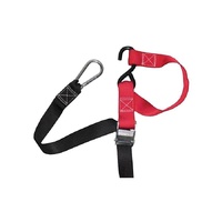 PRO-KIT BIKE TIE DOWN 2PC 350KG
